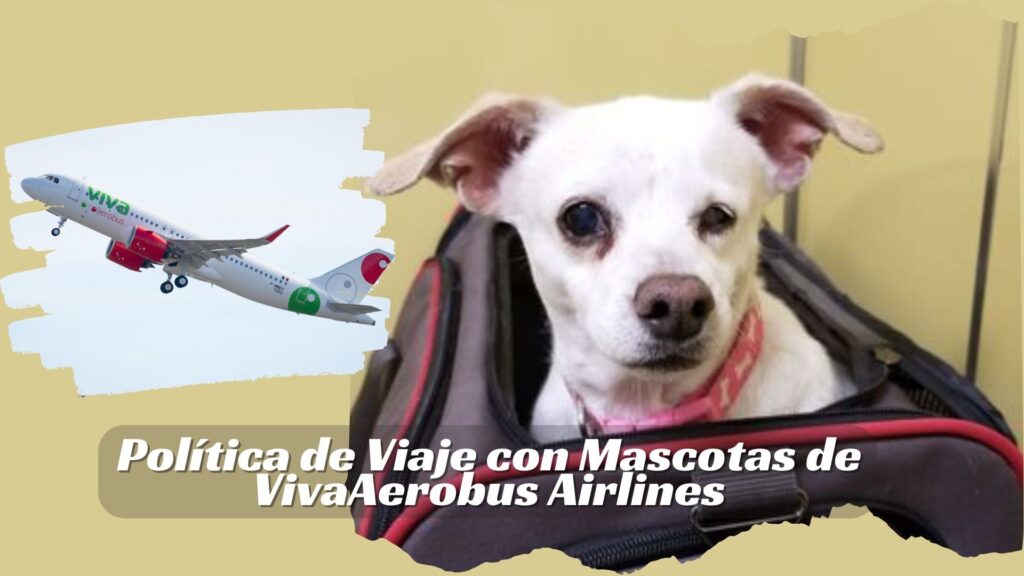 Viva Aerobus Pet travel Policy in spanish