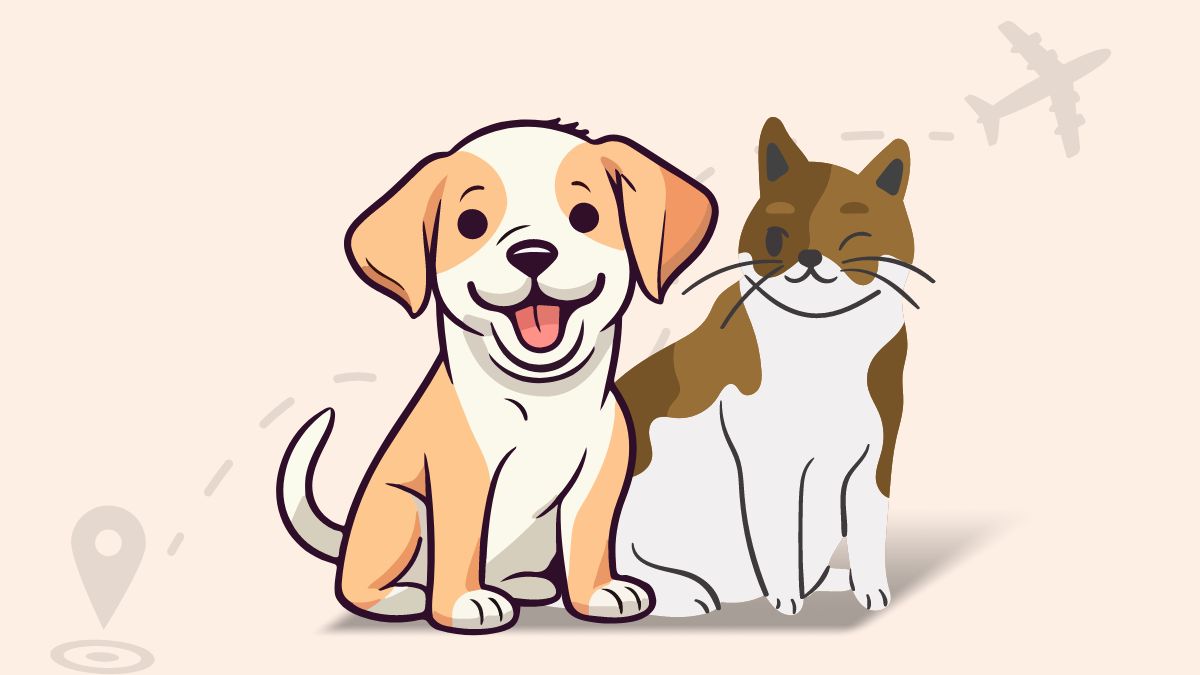 Most airlines allowed Small (Dogs & Cats)