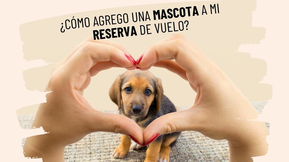 ¿Cómo agrego una mascota a mi reserva de vuelo