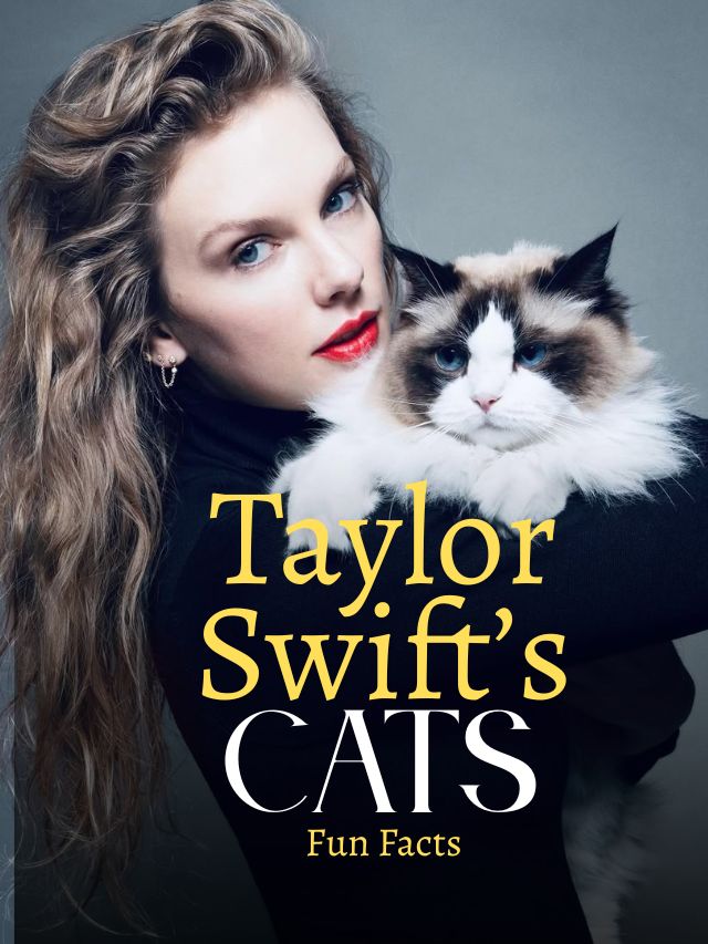 All about Taylor Swift’s cats