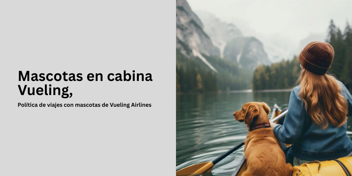 Política de viajes con mascotas de Vueling Airlines