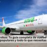 Viva Aerobus: Tu guía completa de vuelos baratos, rutas populares y todo lo que necesitas saber